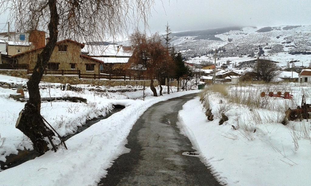 La Casita Del Alberche Pensionat San Martin de la Vega del Alberche Eksteriør billede